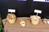 dsc_1529_resize_small.jpg