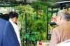 dsc_1542_resize_small.jpg