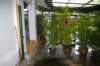 imgp6217_resize_small.jpg